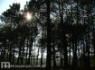 Postales - Galer�a de fotos de Mar de las Pampas