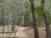 Postales - Galer�a de fotos de Mar de las Pampas