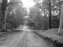 el caminito de las cotorras - Galer�a de fotos de www.MardelasPampas.com.ar - enviada por graciela 