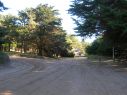 invierno2010