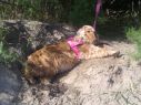 kida en la playa - Galer�a de fotos de www.MardelasPampas.com.ar - enviada por lilana lopez