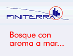 Finiterra