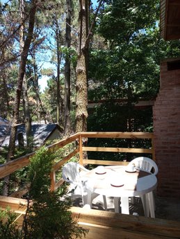 Departamentos Nautilus - Foto 4