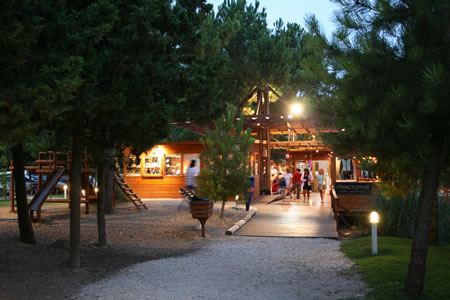 Salidas al centro - Foto 6
