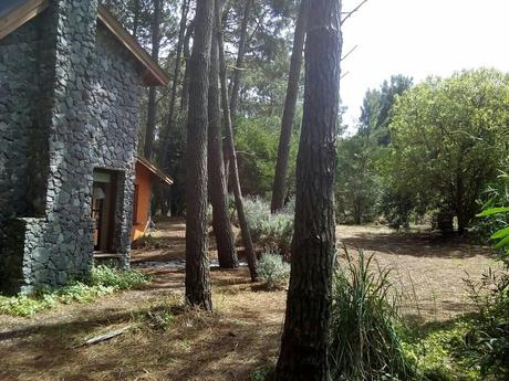 Casa Vakariné - Foto 12