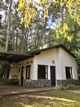 Azahares - Foto 19