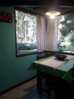 La Blanca - Foto 7
