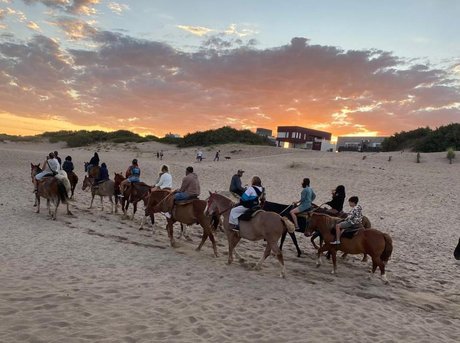 Cabalgatas - Excursiones Tuyusero
