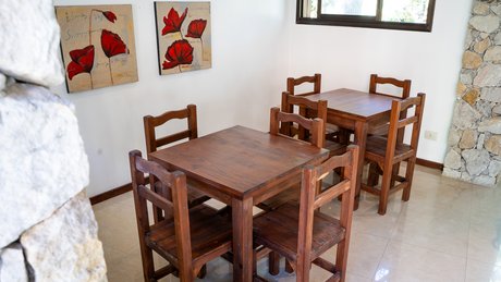 Agapanto - Foto 15