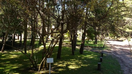 Sendero Botánico - Foto 4