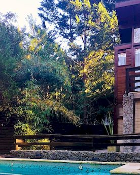 Altos Médanos Cabañas y Club de Bosque - Foto 10